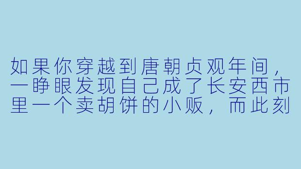 如果你穿越到唐朝贞观年间，一睁眼发现自己成了长安西市里一个卖胡饼的小贩，而此刻你面前正站着一个衣衫朴素却气度不凡的中年男子，他指着你的饼摊问“此物如何卖”，你会怎么做才能既不被识破身份，又可能改变历史？-穿越小说唐朝