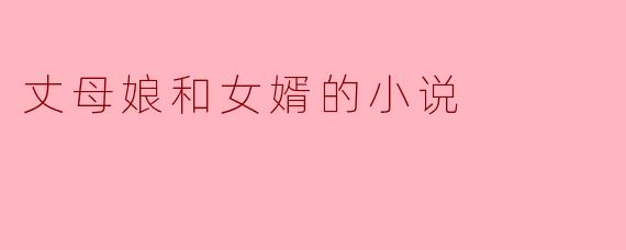 丈母娘和女婿的小说