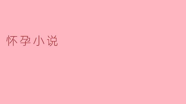 怀孕小说