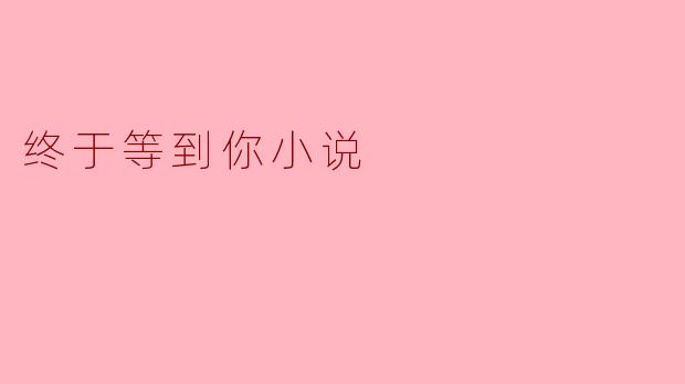 终于等到你小说