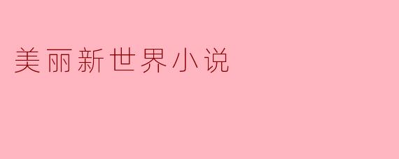 美丽新世界小说