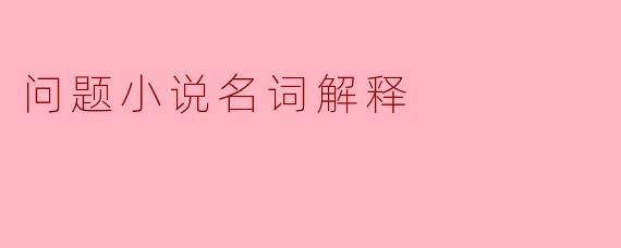 问题小说名词解释