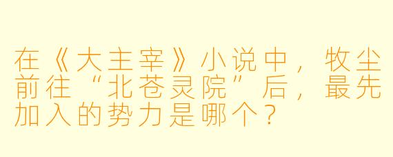 在《大主宰》小说中，牧尘前往“北苍灵院”后，最先加入的势力是哪个？