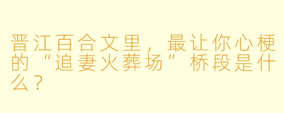 晋江百合文里，最让你心梗的“追妻火葬场”桥段是什么？