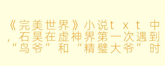 《完美世界》小说txt中,石昊在虚神界第一次遇到“鸟爷”和“精璧大爷”时,这两个神秘老人分别送给了他什么关键物品或提示?