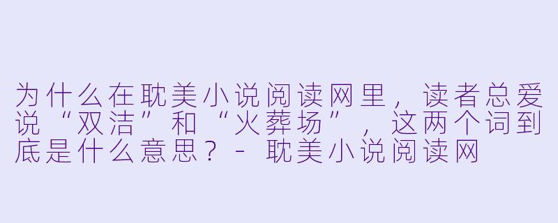 为什么在耽美小说阅读网里，读者总爱说“双洁”和“火葬场”，这两个词到底是什么意思？-耽美小说阅读网