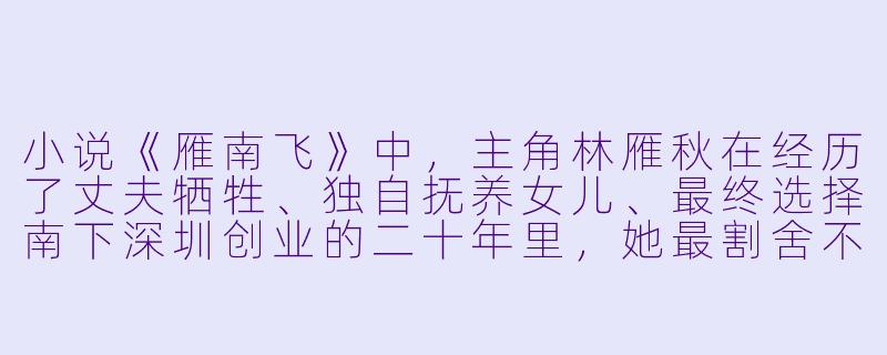小说《雁南飞》中，主角林雁秋在经历了丈夫牺牲、独自抚养女儿、最终选择南下深圳创业的二十年里，她最割舍不下的是什么？-雁南飞小说