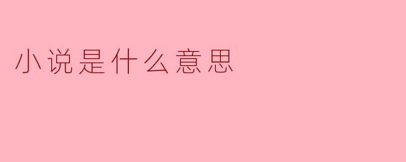 小说是什么意思