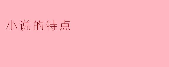 小说的特点