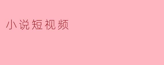 小说短视频