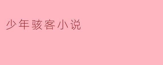少年骇客小说