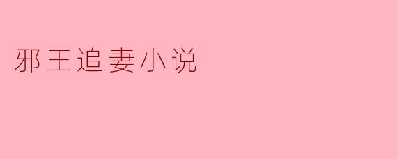 邪王追妻小说