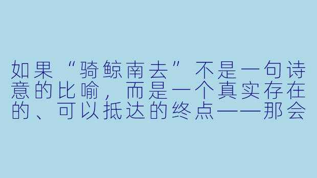 如果“骑鲸南去”不是一句诗意的比喻,而是一个真实存在的、可以抵达的终点——那会是什么地方?你愿意用一生中最珍贵的东西,去换一张单程票吗?-骑鲸南去的小说