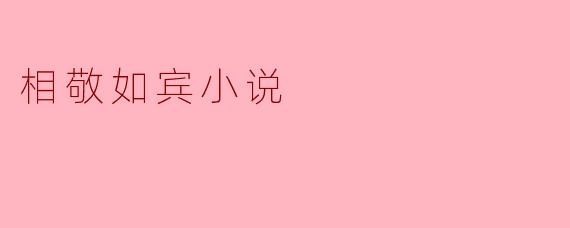 相敬如宾小说