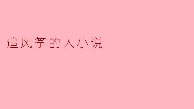 追风筝的人小说